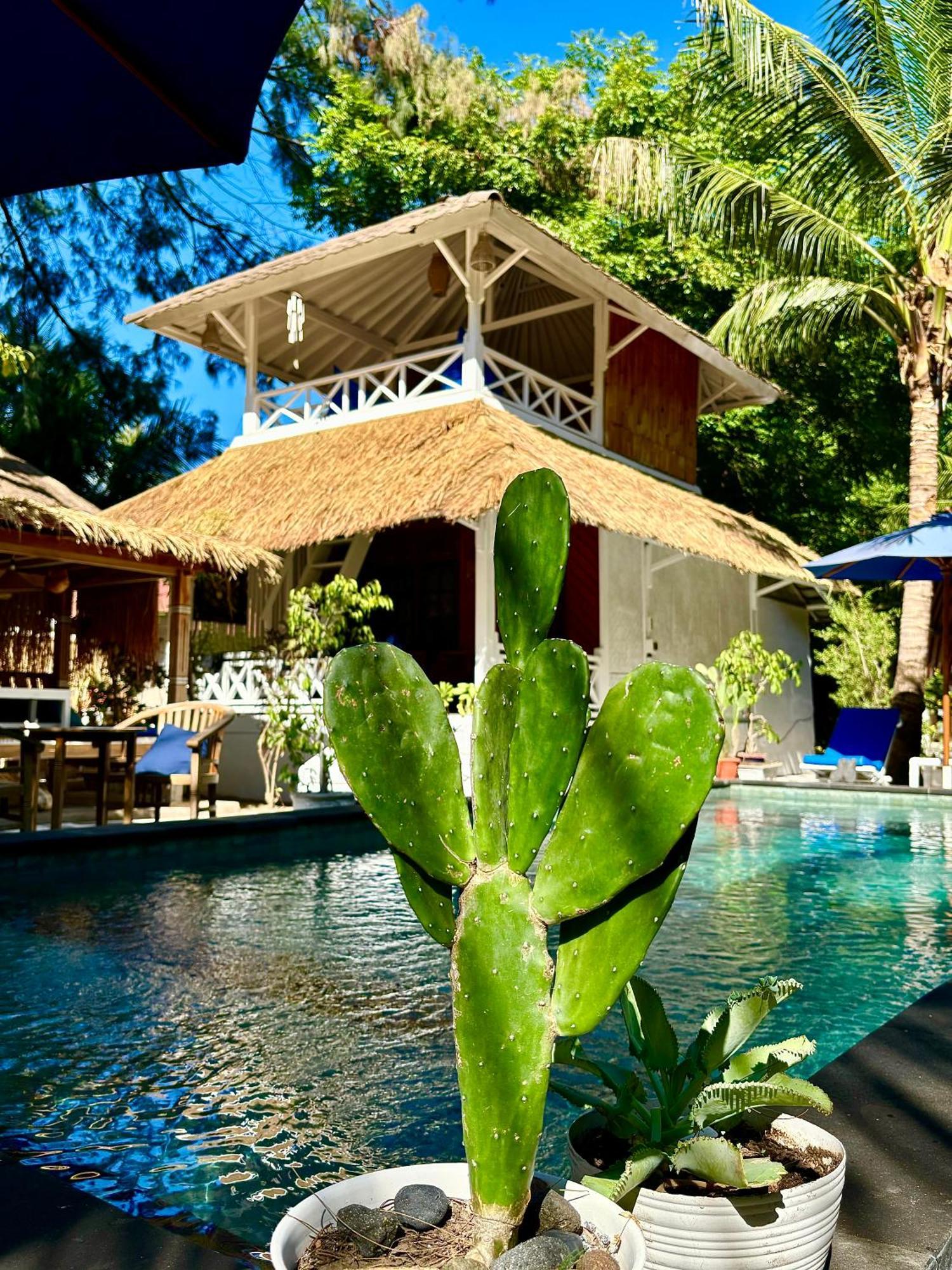 גילי אייר Alibaba Bungalows מראה חיצוני תמונה